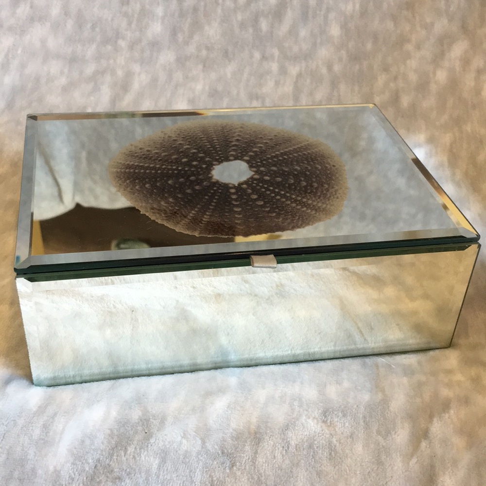 Sea Urchin Ocean Beach Marine Glass Jewelry Treasure Box by Cynthia Rowley NWOT